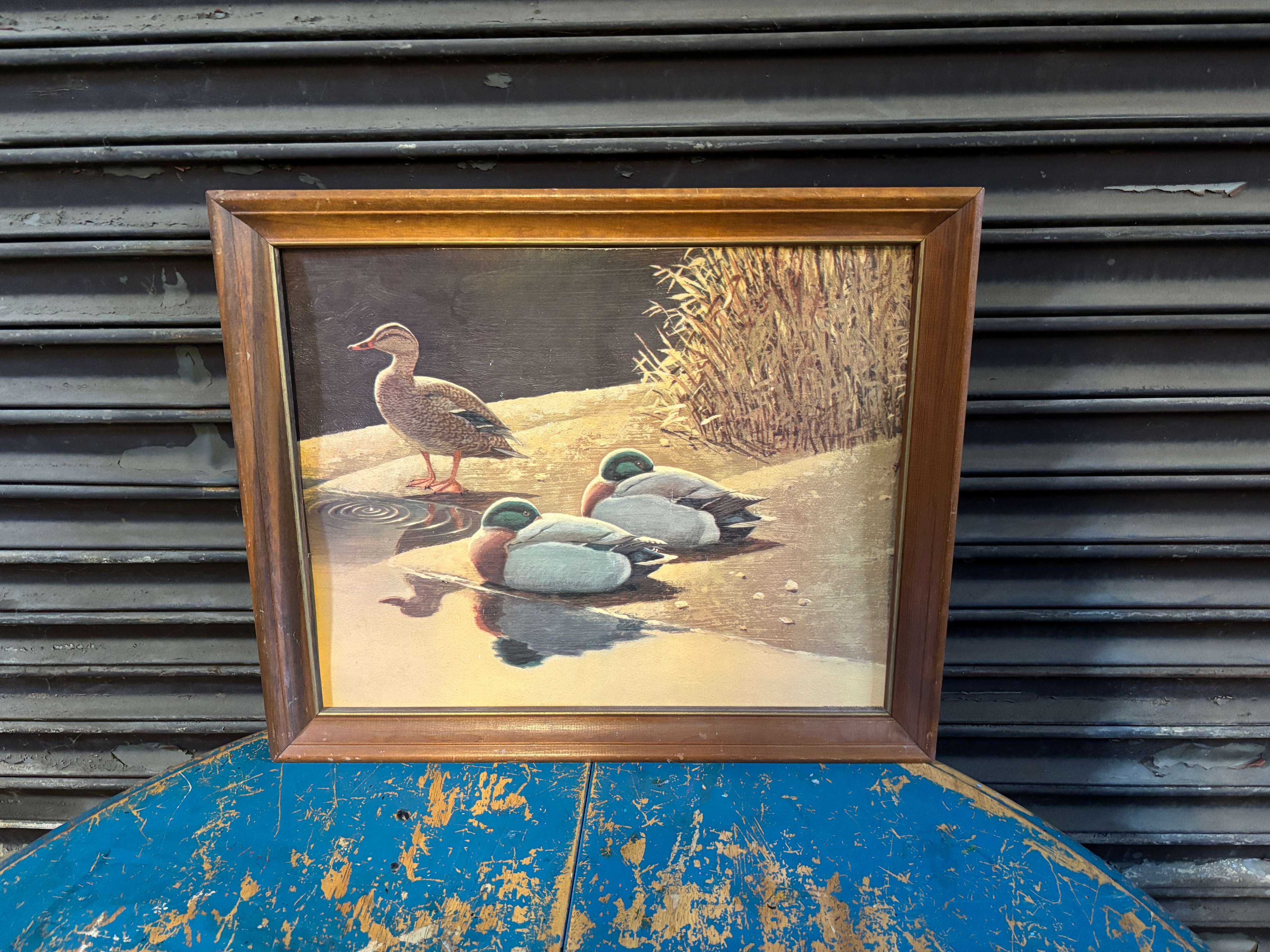 Duck Print